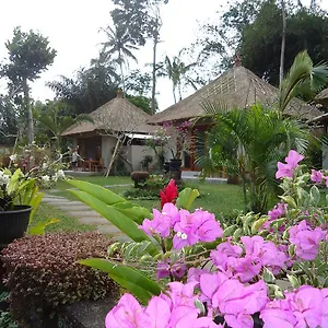 Bed & Breakfast Suka's House ***